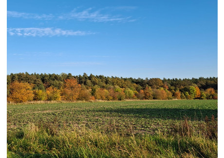 Działka na sprzedaż - Karczów, Dąbrowa (gm.), Opolski (pow.), 1324 m², 181 000 PLN, NET-91