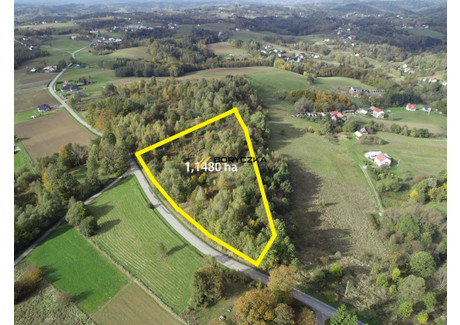 Działka na sprzedaż - Jodłówka Tuchowska, Tuchów, Tarnowski, 11 480 m², 50 000 PLN, NET-100