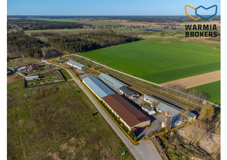 Magazyn, hala na sprzedaż - Leśna Nidzica, Nidzicki, 7455 m², 4 750 000 PLN, NET-4/9981/OHS