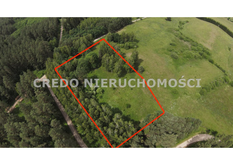 Działka na sprzedaż - Kaborno, Purda, Olsztyński, 6800 m², 350 000 PLN, NET-CRED-GS-83