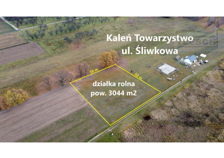 Działka na sprzedaż - Śliwkowa Kaleń-Towarzystwo, Żabia Wola, Grodziski, 3000 m², 360 000 PLN, NET-2163/1807/OGS