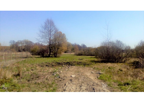 Działka na sprzedaż - Stare Budy, Jaktorów, Grodziski, 8208 m², 615 600 PLN, NET-35764