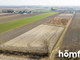 Rolny na sprzedaż - Plewniak, Leszno, Warszawski Zachodni, 5586 m², 650 000 PLN, NET-1444/2089/OGS
