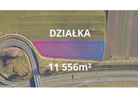 Działka na sprzedaż - Świerklany, Rybnicki, 11 556 m², 999 000 PLN, NET-ZG421888