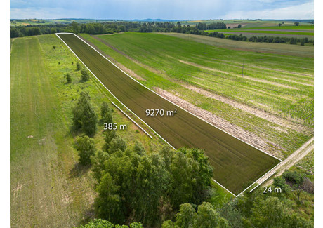 Działka na sprzedaż - Kobyłczyce, Mstów, Częstochowski, 9270 m², 59 000 PLN, NET-ZG977609