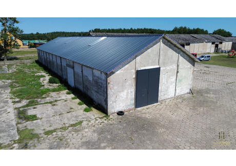 Magazyn, hala do wynajęcia - Stobno, Trzcianka, Czarnkowsko-Trzcianecki, 500 m², 6000 PLN, NET-1/15650/OHW