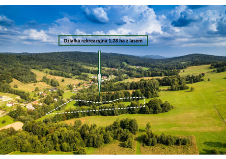 Działka na sprzedaż - Stańkowa, Ustrzyki Dolne (Gm.), Bieszczadzki (Pow.), 12 843 m², 137 000 PLN, NET-7