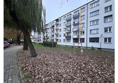 Mieszkanie na sprzedaż - Osiedle Tadeusza Kościuszki Jarocin, 44,3 m², 275 000 PLN, NET-774930