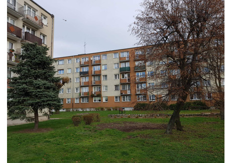 Mieszkanie do wynajęcia - Budowlanych Gniezno, Gnieźnieński (Pow.), 37 m², 1350 PLN, NET-817