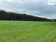 Rolny na sprzedaż - Trzciniec, Nagłowice, Jędrzejowski, 25 078 m², 87 000 PLN, NET-TWJ-GS-1935