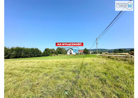 Działka na sprzedaż - Bieliny Kapitulne, Bieliny, Kielecki, 1792 m², 134 400 PLN, NET-TWJ-GS-2043-4