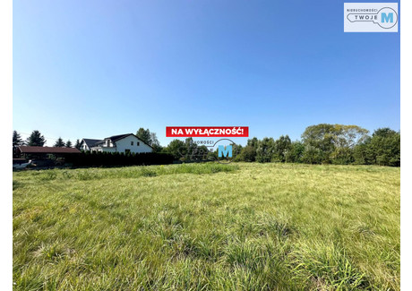 Działka na sprzedaż - Bieliny Kapitulne, Bieliny, Kielecki, 2134 m², 160 000 PLN, NET-TWJ-GS-2045-6