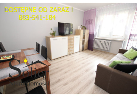 Mieszkanie do wynajęcia - Batalionów Chłopskich Retkinia, Polesie, Łódź, 42,36 m², 1600 PLN, NET-41