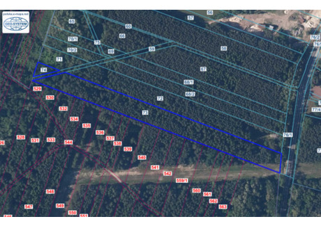 Działka na sprzedaż - Kraśniów, Opatowiec (Gm.), Kazimierski (Pow.), 12 600 m², 55 000 PLN, NET-18281363