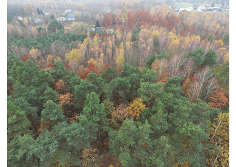 Działka na sprzedaż - Strugi Krzywickie, Siennica, Miński, 26 000 m², 259 000 PLN, NET-2718