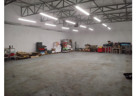 Magazyn do wynajęcia - Jawczyce, Ożarów Mazowiecki, Warszawski Zachodni, 300 m², 9000 PLN, NET-2727