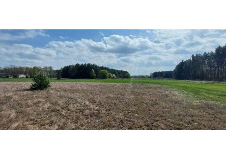 Działka na sprzedaż - Ulaski Grzmiąckie, Wyśmierzyce, Białobrzeski, 3000 m², 150 000 PLN, NET-41/9020/OGS