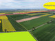 Rolny na sprzedaż - Kostomłoty, Średzki, 72 256 m², 2 528 960 PLN, NET-3062