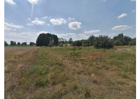 Działka na sprzedaż - Nowe Kozłowice, Wiskitki, Żyrardowski, 1500 m², 225 000 PLN, NET-RES736691