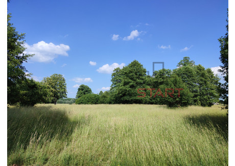 Działka na sprzedaż - Budy Zosine, Jaktorów, Grodziski, 1267 m², 202 720 PLN, NET-RES975333