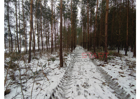 Działka na sprzedaż - Stary Łajszczew, Puszcza Mariańska, Żyrardowski, 9740 m², 239 000 PLN, NET-RES114681