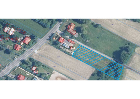 Działka na sprzedaż - Leśniczówka, Chełm, Chełmski, 3500 m², 73 000 PLN, NET-BH/2023/60-407