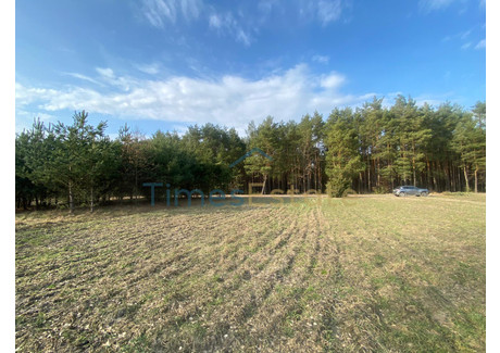 Działka na sprzedaż - Ostrówek, Dąbrówka, Wołomiński, 5700 m², 599 000 PLN, NET-318