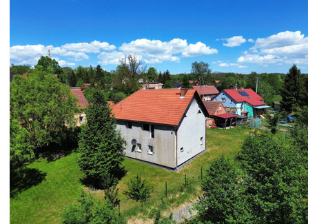 Dom na sprzedaż - Rzeczna Olszyna, Olszyna (gm.), Lubański (pow.), 292 m², 450 000 PLN, NET-117/10700/ODS