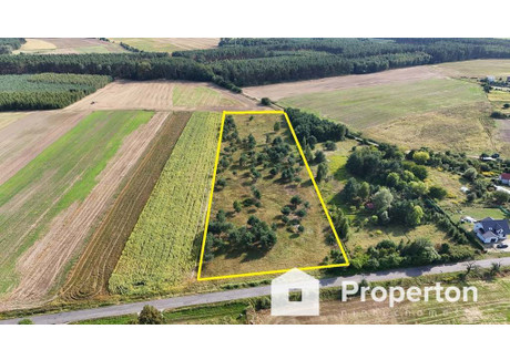 Działka na sprzedaż - Lisów, Słubice, Słubicki, 1100 m², 117 700 PLN, NET-347/16208/OGS