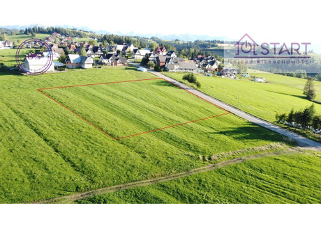 Działka na sprzedaż - Sądel Leśnica, Bukowina Tatrzańska, Tatrzański, 4800 m², 1 090 000 PLN, NET-213/11370/OGS