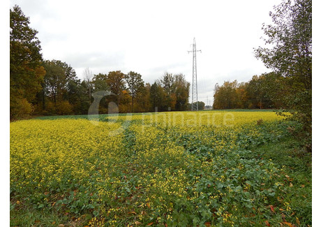 Działka na sprzedaż - Nadrybie-Wieś, Puchaczów, Łęczyński, 10 800 m², 97 000 PLN, NET-883726