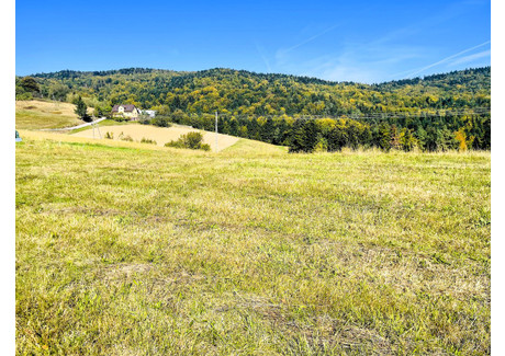 Działka na sprzedaż - Żurowa, Szerzyny, Tarnowski, 1200 m², 49 000 PLN, NET-1525/13924/OGS