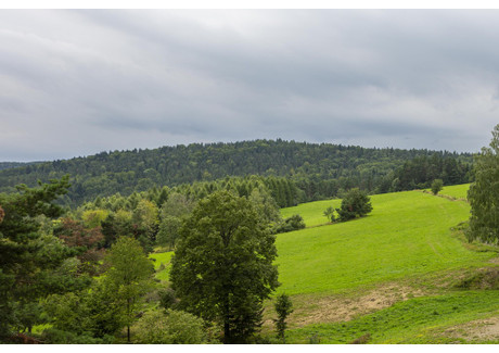 Działka na sprzedaż - Kiełczawa, Baligród, Leski, 3000 m², 200 000 PLN, NET-1490/13924/OGS