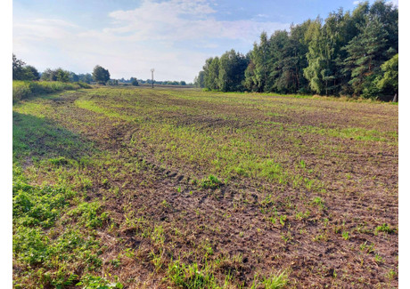 Działka na sprzedaż - Głogowa Chełm Śląski, Bieruńsko-Lędziński, 5415 m², 422 000 PLN, NET-13