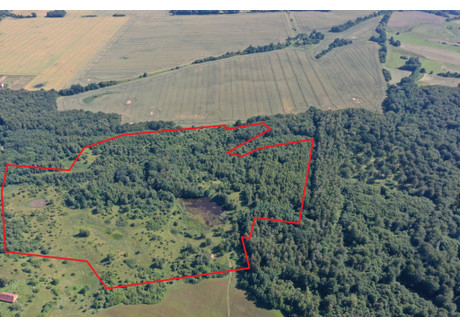 Działka na sprzedaż - Stegny, Pasłęk (gm.), Elbląski (pow.), 224 802 m², 1 570 000 PLN, NET-199