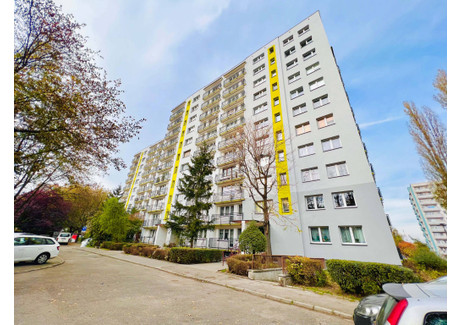 Mieszkanie na sprzedaż - Jagiellońska Radocha, Sosnowiec, 50 m², 269 000 PLN, NET-544