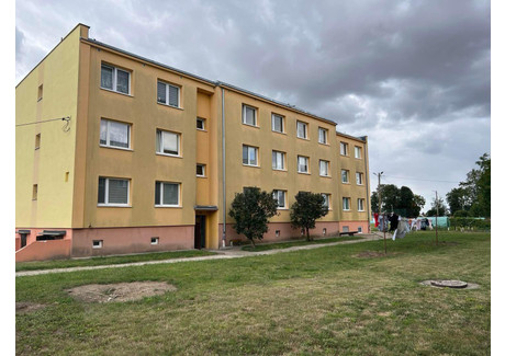 Mieszkanie na sprzedaż - Zielonki, Stary Targ (Gm.), Sztumski (Pow.), 78 m², 145 000 PLN, NET-65
