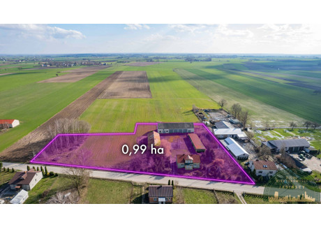 Dom na sprzedaż - Wierzbowo, Opinogóra Górna (Gm.), Ciechanowski (Pow.), 160 m², 480 000 PLN, NET-343