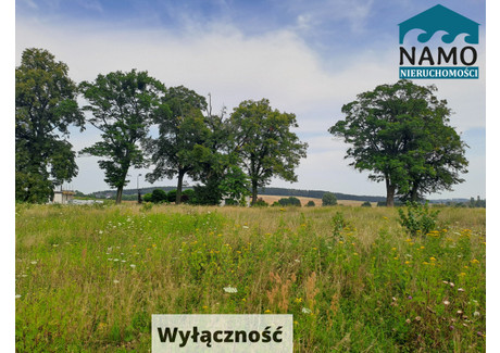 Działka na sprzedaż - Wrzosowa Gołębiewo Wielkie, Trąbki Wielkie, Gdański, 3746 m², 195 000 PLN, NET-NA381506