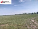 Rolny na sprzedaż - Zawiersze, Bartoszyce, Bartoszycki, 5000 m², 99 000 PLN, NET-582820029
