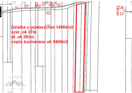 Działka na sprzedaż - Lgota Wielka, Wolbrom, Olkuski, 14 560 m², 209 000 PLN, NET-1546