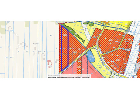 Działka na sprzedaż - Południowa Szeligi, Mszczonów, Żyrardowski, 14 200 m², 1 249 600 PLN, NET-EMP-GS-9770