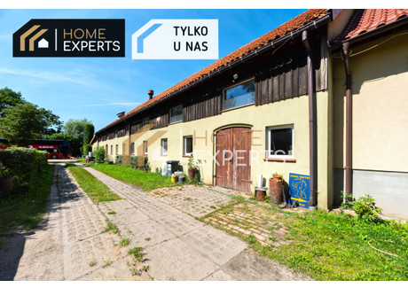 Hala do wynajęcia - Szkolna Wiślinka, Pruszcz Gdański, Gdański, 365 m², 7600 PLN, NET-HEX417163