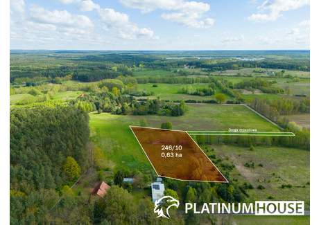 Działka na sprzedaż - Trzciel, Międzyrzecki, 6300 m², 150 000 PLN, NET-PH219070