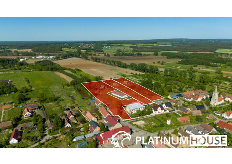 Działka na sprzedaż - Koźla, Świdnica, Zielonogórski, 23 711 m², 1 304 105 PLN, NET-PH721213