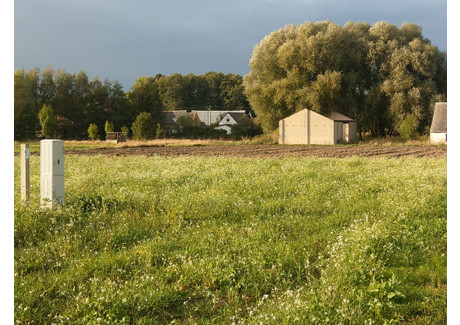 Działka na sprzedaż - Sierosław, Wolin, Kamieński, 4900 m², 399 000 PLN, NET-32/11683/OGS