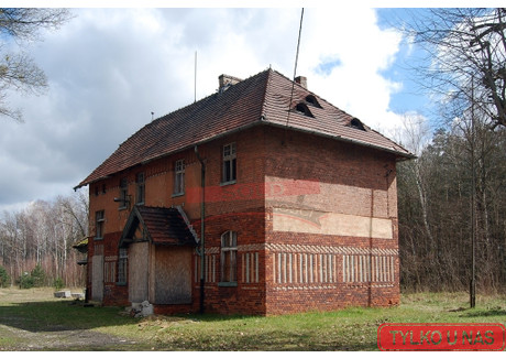 Dom na sprzedaż - Sporok, Kolonowskie, Strzelecki, 240 m², 295 000 PLN, NET-159/7385/ODS