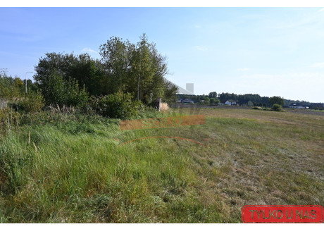 Działka na sprzedaż - Krasiejów, Ozimek, Opolski, 4079 m², 160 000 PLN, NET-232/7385/OGS