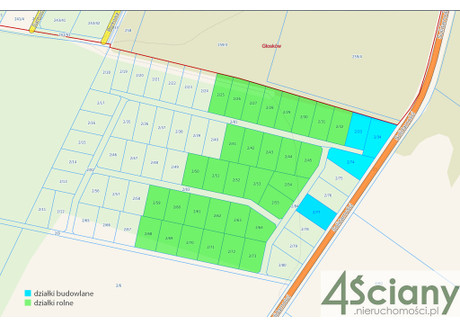 Działka na sprzedaż - Runów, Piaseczno, Piaseczyński, 32 655 m², 3 265 500 PLN, NET-9429/3098/OGS