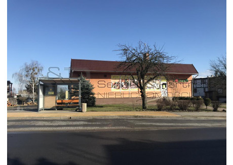 Lokal handlowy na sprzedaż - Chodzież, Chodzieski, 230 m², 355 000 PLN, NET-568697